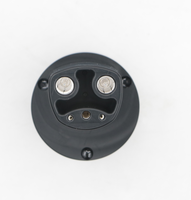 Nouvel adaptateur de chargeur de voiture électrique Isigma, type 2 vers NACS, protection IP54, fabriqué en Chine, directement en stock