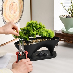 Maceta de Plástico con Forma de Isla de Ballenas Clásica para Bonsái y Paisajes, con Bandeja - Product Image 5