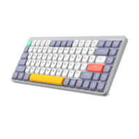 Clavier mécanique personnalisé QK65 Mk3 avec écran, finition blanche rétro pulvérisée