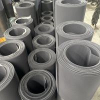 Moustiquaire en acier inoxydable 304 de haute qualité, revêtement PVC, maille 0,65 mm-12 mailles, pour fenêtre et porte, prix usine de gros