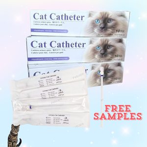 Catéter Urinario para <span class=keywords><strong>Gatos</strong></span>, Catéter Uretral Estéril de 1.0/1.3 mm (cateter para <span class=keywords><strong>Gatos</strong></span>, Sin Dolor) para Uso Veterinario al Mejor Precio - Product Image 3