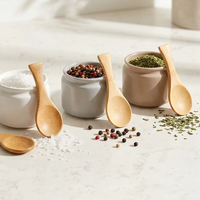 Petites cuillères en bois pour mélanger le café, cuillères à thé, cuillères à mélanger pour manger, cuillères à thé glacé, cuillères à crème glacée