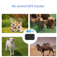 Bonne qualité Smart Pet Dog Cat Localisateur de suivi Collier de positionnement Anti-perte Sim Card 3d Animal GPS Tracker