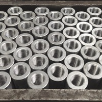 Raccord de barre en acier au carbone durable à filetage métrique avec bouchon en plastique pour la construction de bâtiments de bureaux