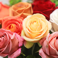 Fleurs artificielles en gros, roses Vénus au toucher réel, fleurs hydratantes faites à la main pour la fête des Mères, la Saint-Valentin, les fêtes et le jardin