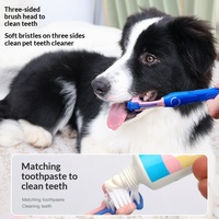 Fournitures pour animaux de compagnie : Ensemble de brosses à dents à trois têtes en plastique saveur bœuf pour chiens avec dentifrice pour le soin des gencives