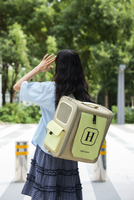 Sac à dos moderne en nylon respirant et portable pour petits animaux : hamster, petaur d'asie, chipmunk – Idéal pour les sorties