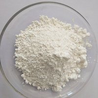 Polvo de Nano ZnO de Grado Industrial de Alta Pureza 99.7% X G para Aplicaciones de Recubrimientos, Directo del Fabricante