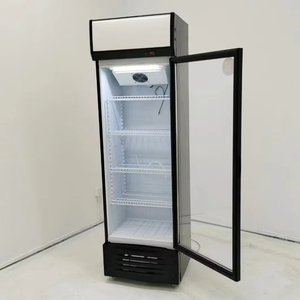 Commercial Single Door Beverage Display <b>Freezer</b> Direct Cooling Home Equipment for Convenience Store Use Direct Cooling Maintains - Product Image 6
