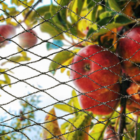 Filet vert pour oiseaux feuilles tombées empêchant la ferme avicole vignoble filet de jardin tissu de protection contre la grêle Anti oiseaux contre les filets