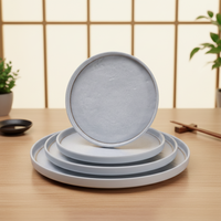 Nouvelles assiettes plates en mélamine rayées incassables de 8,1 pouces de diamètre
