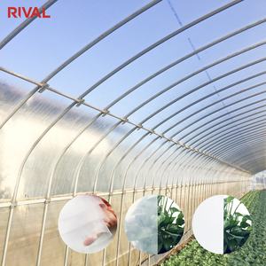 ฟิล์มคลุมโรงเรือนคุณภาพสูง โปร่งใส หนา 180 ไมครอน 200 ไมครอน ขนาดใหญ่ ฟิล์มพลาสติกสำหรับโรงเรือน - Product Image 2