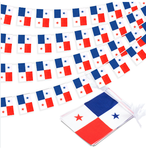 Czech Republic Cheap 14*21cm 2026 Football Soccer Fans Team National Waterproof Flag World Bunting String Flag for Decoration - Product Image 2