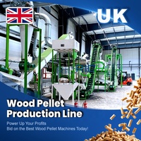 Ligne de production de granulés de biomasse à partir de sciure de bois de haute qualité RICHI, capacité 10-20 T/H, pour bois tendre, au Royaume-Uni