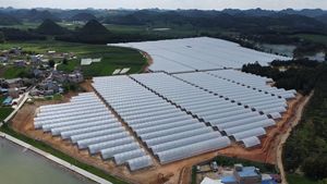 MAXPOWER UV แบบกําหนดเอง 200 250 ไมครอนการเกษตรหลายพลาสติกเรือนกระจกพลาสติกโพลีเธนฝาครอบฟิล์ม pe สําหรับเรือนกระจก - Product Image 4