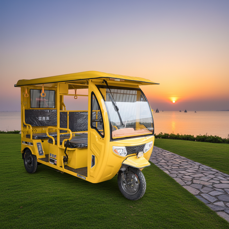 China 3 Wheel Electric Passenger Tricycle