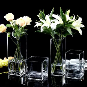 Carré transparent clair Grand grand vase carré en verre salon décoration moderne vase géométrique en verre