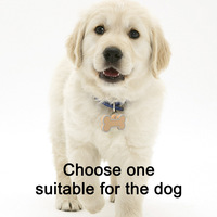 Pendentif en silicone personnalisé en forme d'os avec motifs de dessins animés, logo personnalisé, pour carte d'identité, étiquette pour animal de compagnie en silicone de qualité alimentaire, toutes saisons