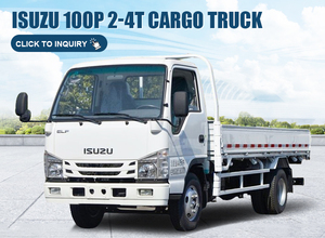 Camión de Carga Ligero ISUZU 100P 2-4T 4x2, Precio de Mini Camión de Carga, Cámara, Euro 3, Camiones Fuso Mt96, Camión Eicher de 10 Toneladas, Año 2020, Volante a la Izquierda - Product Image 2