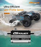 DSpower Moteur Brushless Étanche 17KG à Corps Court, Boîtier Métallique Numérique, Servo à Profil Bas pour Voitures RC 1/10 1/8, Drift et Robots