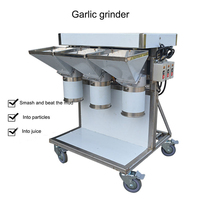 Hoge snelheid gember- en aardappelmolens, knoflookmolen, fruit- en groentepulpmachine