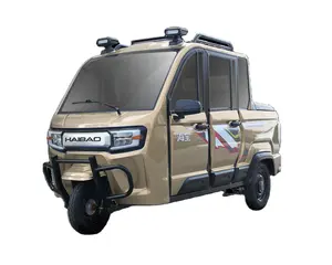 Harga pabrik Tiongkok pegangan truk ringan truk kargo Pickup penumpang dan angkutan otomatis elektrik 60V80Ah