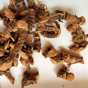 Migliore qualità Alpinia radici per la vendita online Alpinia officinarum prezzo a buon mercato - Product Image 6