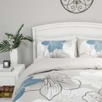 Ensemble de literie en microfibre doux et chaud pour hôtel, drap de lit de luxe Queen Size, housse de couette, ensemble de literie d'hiver King Size en velours
