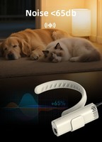 Produit Tendance 2026 : Sèche-cheveux pour animaux 110000 tr/min, Souffleur haute vitesse sans balais 1000W pour chiens et chats, Portable, Accessoires pour animaux de compagnie