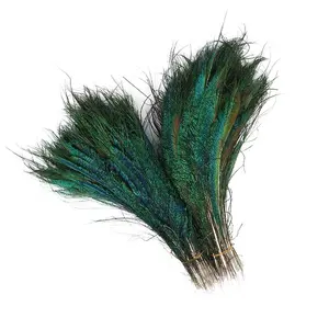 Atacado de Alta Qualidade Natural Peacock Espada Pena penas de artesanato