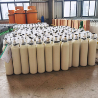 Bouteille de CO2 en acier avec homologation ISO9809 CE/TPED, capacité 2KG, 3KG, 4KG, 5KG, 6KG, 8KG, 10KG, cylindre de dioxyde de carbone, bouteille de gaz CO2