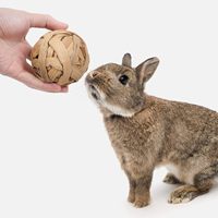 Boule de jeu d'herbe tissée, petit Animal, nouveauté