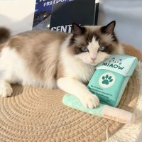 Nouveau style, vente chaude : Jouet en peluche amusant en forme de cigarette avec herbe à chat pour chats