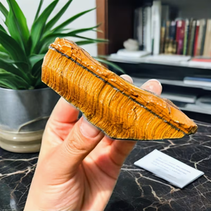 Pietra Grezza Naturale Occhio <span class=keywords><strong>di</strong></span> Tigre Giallo, Cristallo Dorato <span class=keywords><strong>di</strong></span> Alta Qualità, Campione Minerale <span class=keywords><strong>di</strong></span> Quarzo, per Lapidari e Guarigione, 3-10cm, Decorazione - Product Image 2