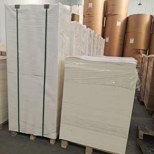 Feuille de carton enduite de PE de qualité alimentaire, écologique, recyclable, avec logo personnalisé, simple/double couche, papier sulfurisé pour gobelets. - Product Image 5