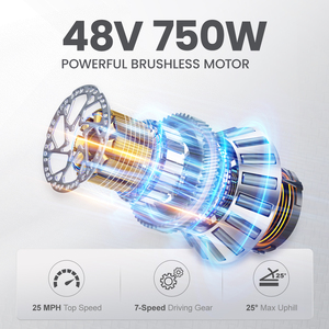 Países Bajos Polonia bicicleta eléctrica 48V 20 pulgadas bicicleta eléctrica 7 velocidades Ebike bicicleta de carretera eléctrica - Product Image 4