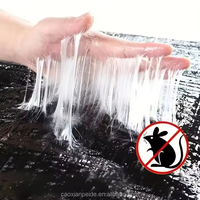 Grandes pièges à souris collantes noires puissantes, à base de gel, écologiques, jetables, pour le contrôle des souris