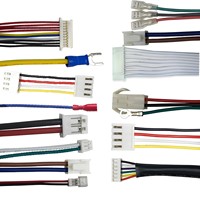Câble JST personnalisé, assemblage de câbles 1.0 1.25, fil 2.5mm, conducteur en cuivre, câble électrique automobile pour appareils électroménagers