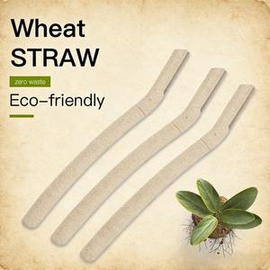 Rasoir pour femmes biodégradable à base de paille de blé, très vendu, pour le dermaplaning et le rasage des sourcils - Product Image 6