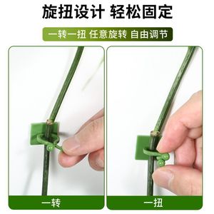 Clip de sujeción para plantas verdes, gancho de pared ajustable para jardinería doméstica, 100 unidades - Product Image 5