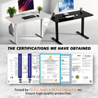 Customizable Electric Office Desk Sit Stand Height Adjustable Workstation With Memory Presets OEM Supply Wholesale