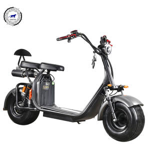 10 년 수출 성인 500 와트 전기 오토바이/지방 타이어 전기 오토바이 EEC 승인 Citycoco - Product Image 3