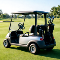 Hotel-Shuttle Elektro-Golfwagen für 2 Personen Besichtigungsfahrzeug mit Rücksitz-Kit für Resorts und Parks