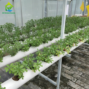 Invernaderos Pequeños con Estructura Galvanizada para Cultivo de Vegetales, Sistemas Hidropónicos Industriales con Tubería de PVC, Triangulares Verticales Estables AX149 - Product Image 4