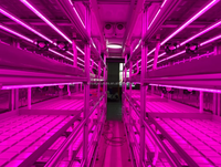 Système d'agriculture verticale en conteneur hydroponique de 40 pieds avec contrôle climatique automatisé pour micro-légumes