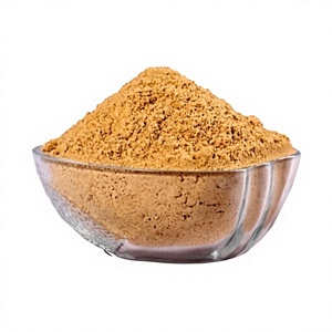 Mélange d'épices piquantes Tangy Chatpata Chaat, poudre de masala rouge séchée de qualité A pour les collations indiennes, les fryums, les namkeen, la fabrication alimentaire - Product Image 1