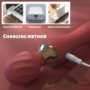 2단계 강력 마사지기 24단계 진동기 충전식 핸드헬드 클리토리스 G 스팟 자극기 여성용 성인용품 - Product Image 6