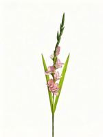 Arrangement de fleurs artificielles Gladiolus pour la vente en gros, décoration d'entrée pour mariage, hôtel, restaurant, café, fleurs artificielles