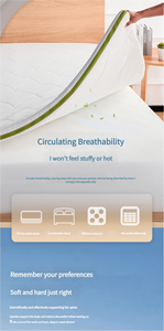 Material de PVC de dureza suave a moderada, colchón de cama individual, cojín, dormitorio de estudiante, Tatami, habitación de alquiler, dormitorio, <span class=keywords><strong>Hospital</strong></span>, escuela - Product Image 4