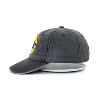 Wasbare stof en distressed tatami borduurwerk luxe sportieve twill 6-panel 100% katoenen baseball caps voor volwassenen